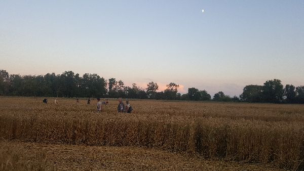 Im Kornkreis stehende Menschen