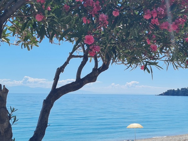 IKefalonia - Poros Beach Poros Beach, Kefalonia