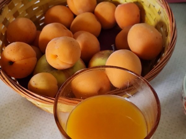Aprikosen und LaVita Getränk Aprikosen in einer Schale und Glas mit Saft in orange