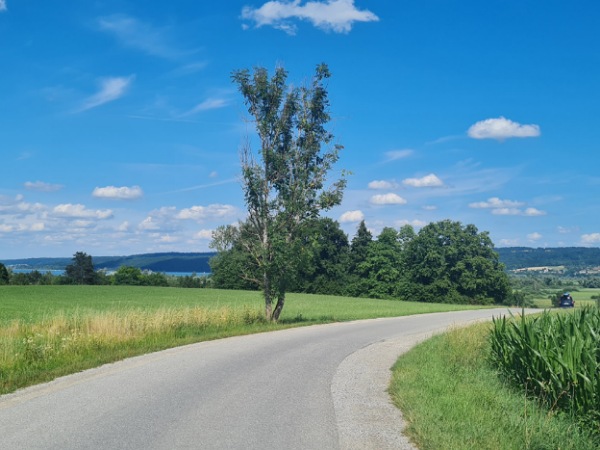 Strasse bergab zum SOS Kinderdorf Eine Straße in der Natur, die bergab führt